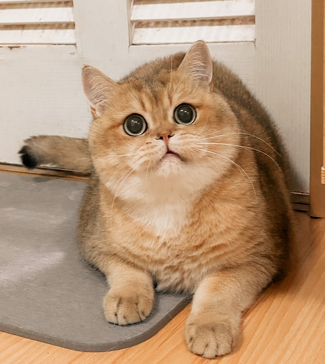 แอร์ไม่เย็นก็ไปปรับเองสิโว้ยย ฮึ่ยๆ 😤