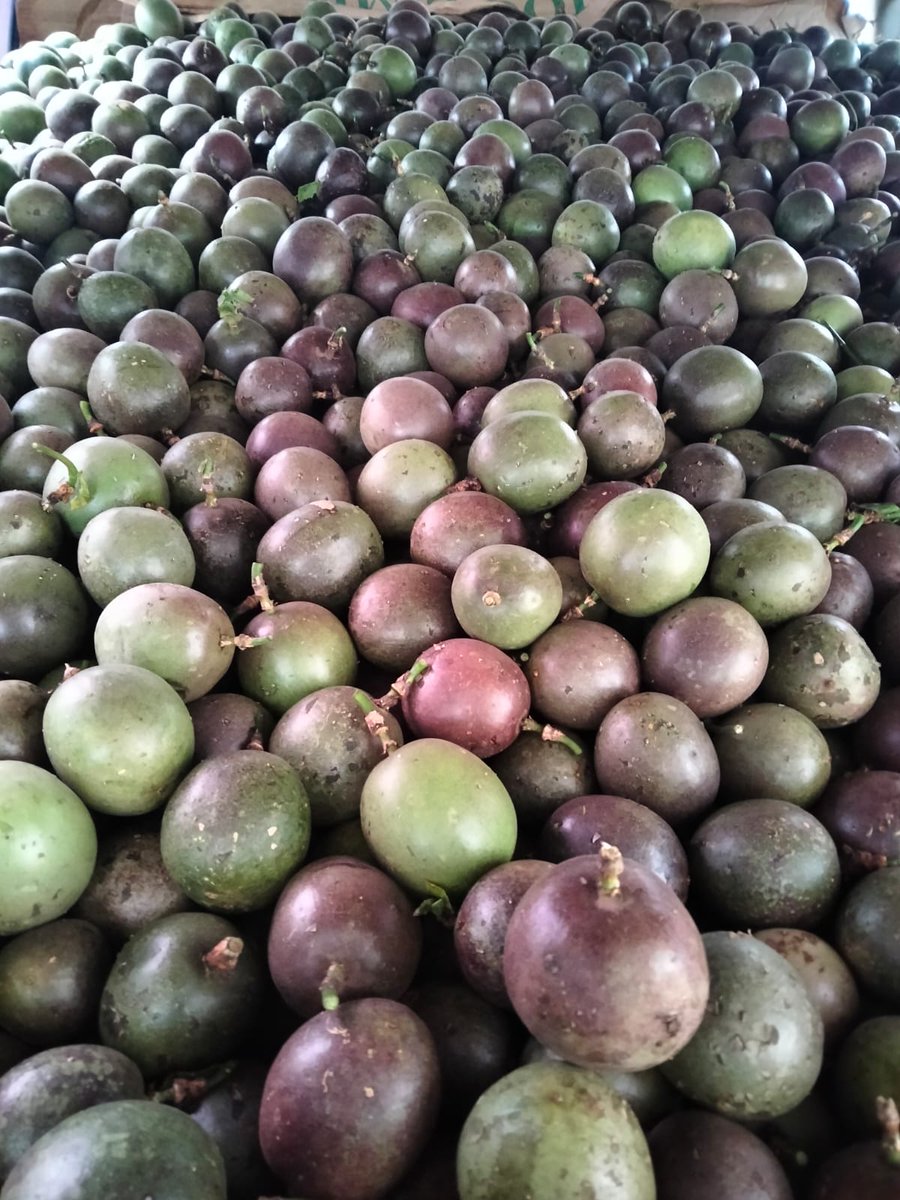 Passion fruit health benefits includes providing essential nutrients to the body, supporting immune system, may help to fight cancer, support digestion, treat gastrointestinal disorder &amp; reduce bad cholesterol. 
We produce good quality fruits all year round.
george@instaveg.co.ke