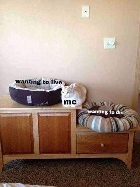 pain