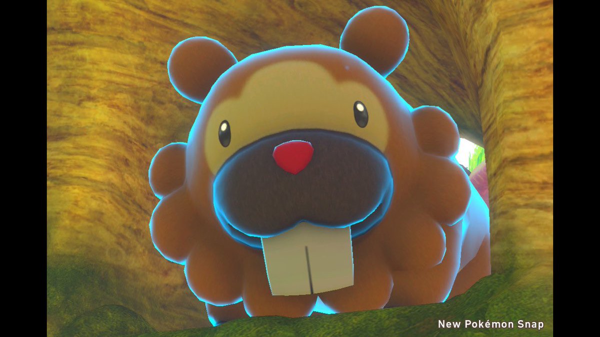 まい ポケモンgoでビッパ祭りがあったし ポケスナ内のビッパはすごく可愛いし ポケモンの公式全体で ビッパを推している感じがする 笑 お尻 可愛いなぁ Newポケモンスナップ ポケモンスナップ まい ポケモンgoでビッパ祭りがあったし ポケスナ内のビッパはすごく可愛いし ポケモンの公式全体で ビッパを推している感じがする 笑 お尻 可愛いなぁ Newポケモンスナップ ポケモンスナップ