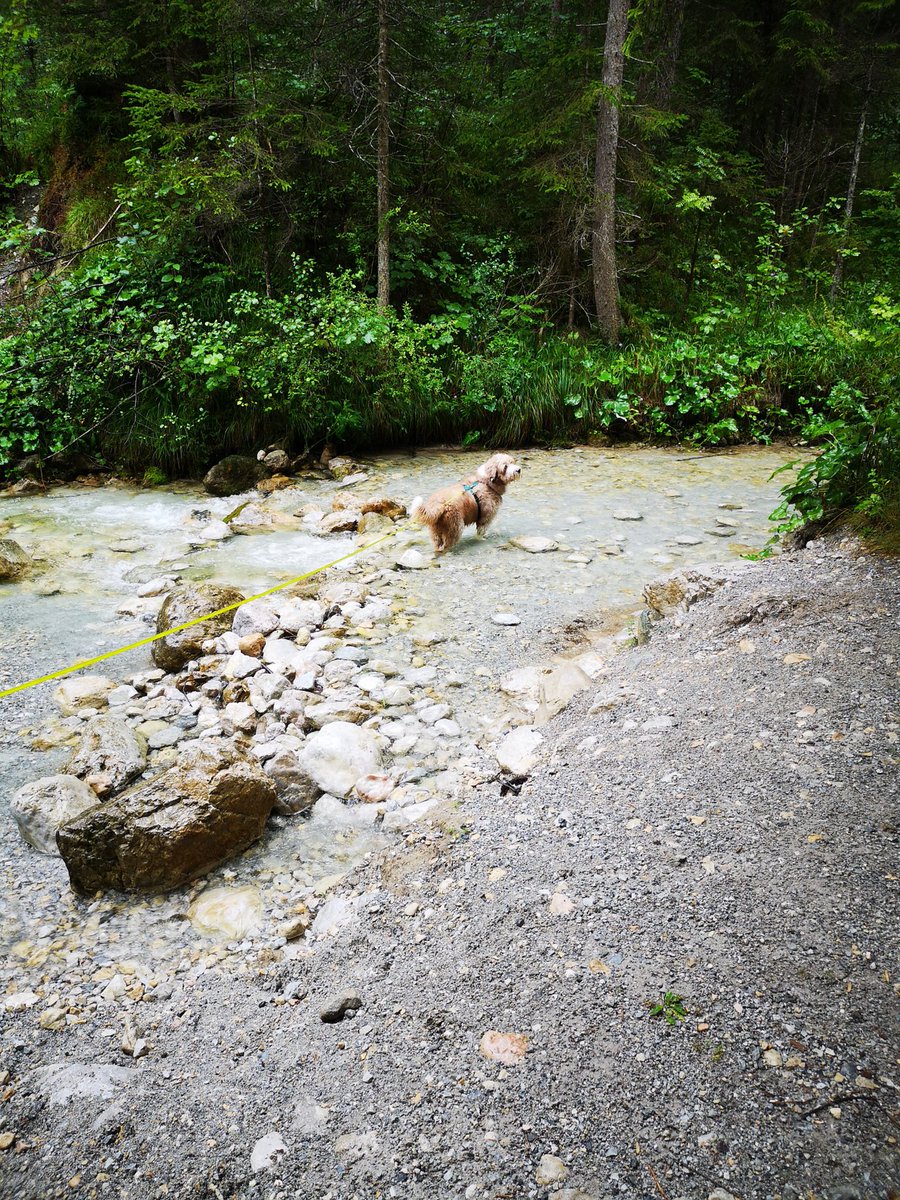dexterS_i's tweet photo. Another day, another stream #Austria https://t.co/CHKbDG3E1B