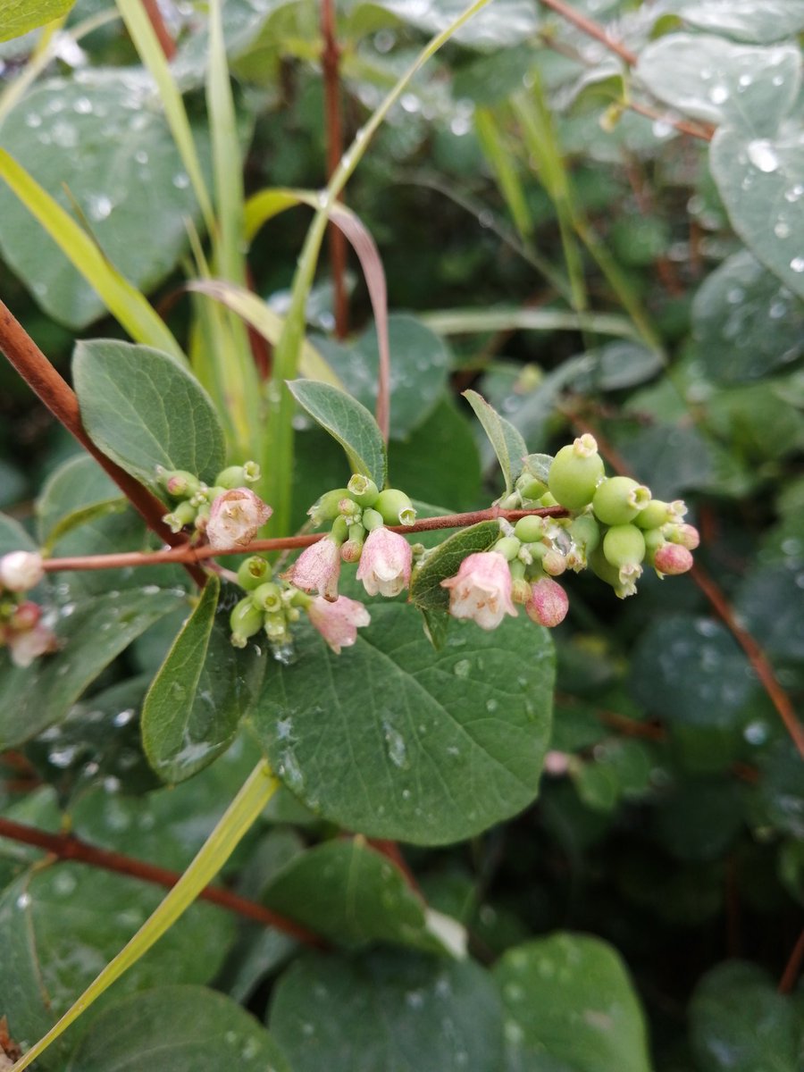 After the rain

victoria-arts.com

#Flowers #rain #after #artistsontwitter #bloomingflowers #nature #NaturePhotography #photo #summertime #summer #victoriaart9 #VictoriaArt #catsand1dog #paintingswoldartist #photosnature_victoria #elegant #life #gardenstyle #photooftheday