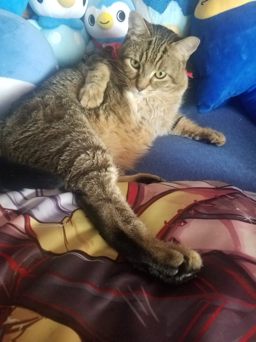 lnigowain's tweet photo. WHY HE LAYING LIKE THIS???? https://t.co/je5faLs0wA