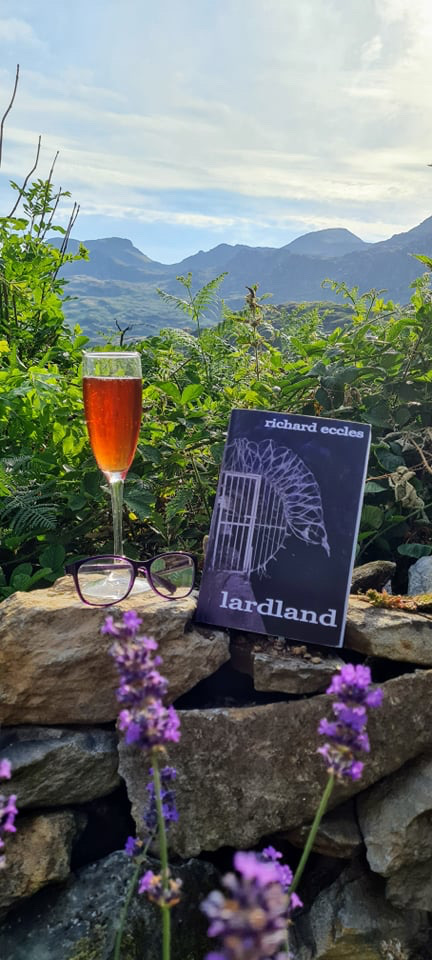 LardlandNovel's tweet photo. How do you read yours?

#bookwithaview #Lardland #NewWriting #Novel 

@AwenMeirion @RedHandBooks https://t.co/SwPCtmkpXi