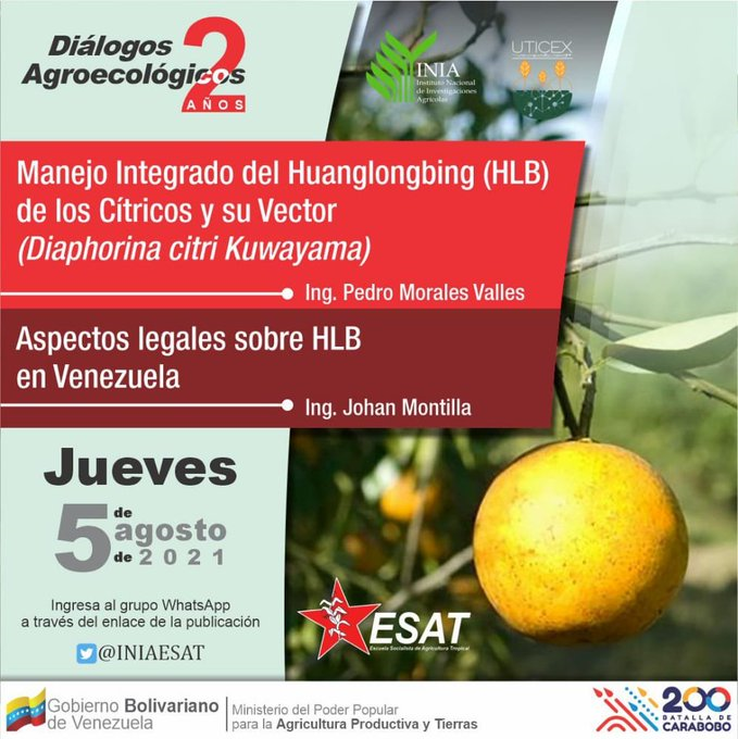 INIAESAT's tweet photo. #5Agosto de 4 a 7 PM | "Diálogos Agroecológicos".

En esta oportunidad con Pedro Morales y Joan Montilla, Profesionales de Investigación del @iniavenezuela ¡Te esperamos!

Ingresa al grupo de WhatsApp a través del enlace      https://t.co/YiRkjm38QZ

#PuebloIndoblegable https://t.co/B8wzxK1bQ9