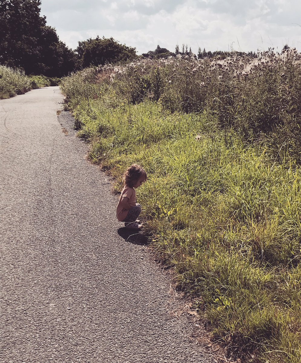 MrsDeyfs's tweet photo. Loved experiencing a walk I’ve done so many times before with a 20 month old Charlotte-Rose 💛 We noticed so many that I may have just looked beyond #ToddlerLife #toddler #Children #nature https://t.co/Ynd0IZm5H2