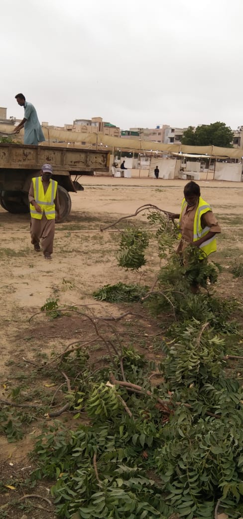 Dmccentralkhi's tweet photo. Trimming of trees at Abdul Khaliq Stadium, federal B.area, block 19 Gulberg Zone
Under supervision Deputy Director Park Gulberg Zone Mr. Syed Rehan Hamdani
5th Aug 2021
@DCKhiCentral
@TheTahaSaleem
#dmccentralkarachi
#CleanGreenCentral https://t.co/AKGXmjJBjS