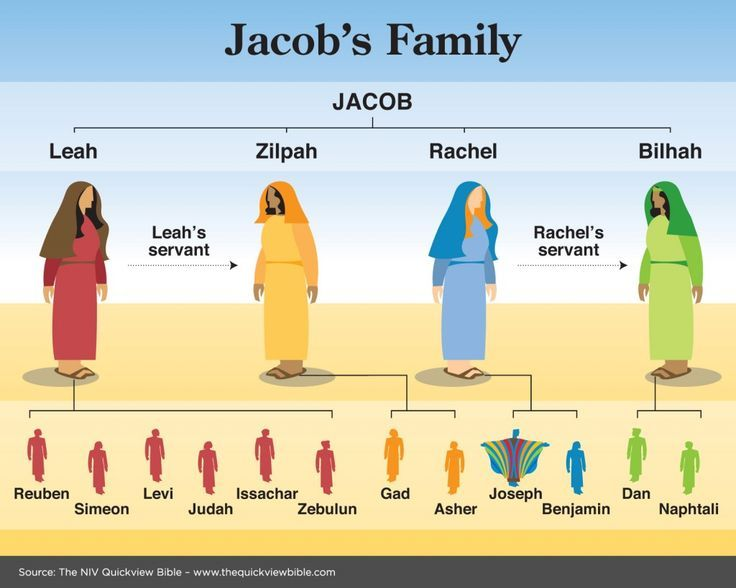 abraham from the bible family tree