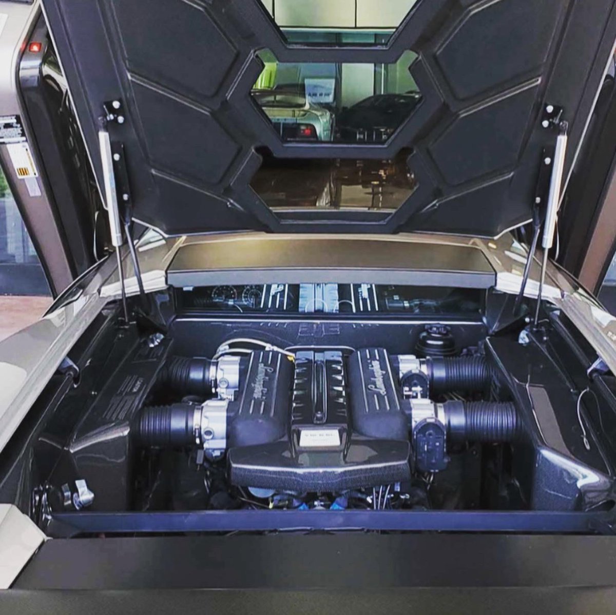 leaseitfromLLP's tweet photo. Rare 2010 Murcielago SV

Delivered 📦 

#lambo #lamborghini #lamorghinimurcielago #murcielago #sv #murcielagosv #italy #italian #rare #car #carsoftwitter #exoticcars #cool #whip #cars #luxury #lease #llp #dope #carstagram https://t.co/GFtcxYFYXL