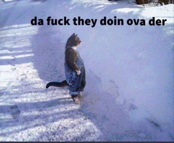 wongisrite's tweet image. bitcoiners seeing on-chain activity on Ethereum