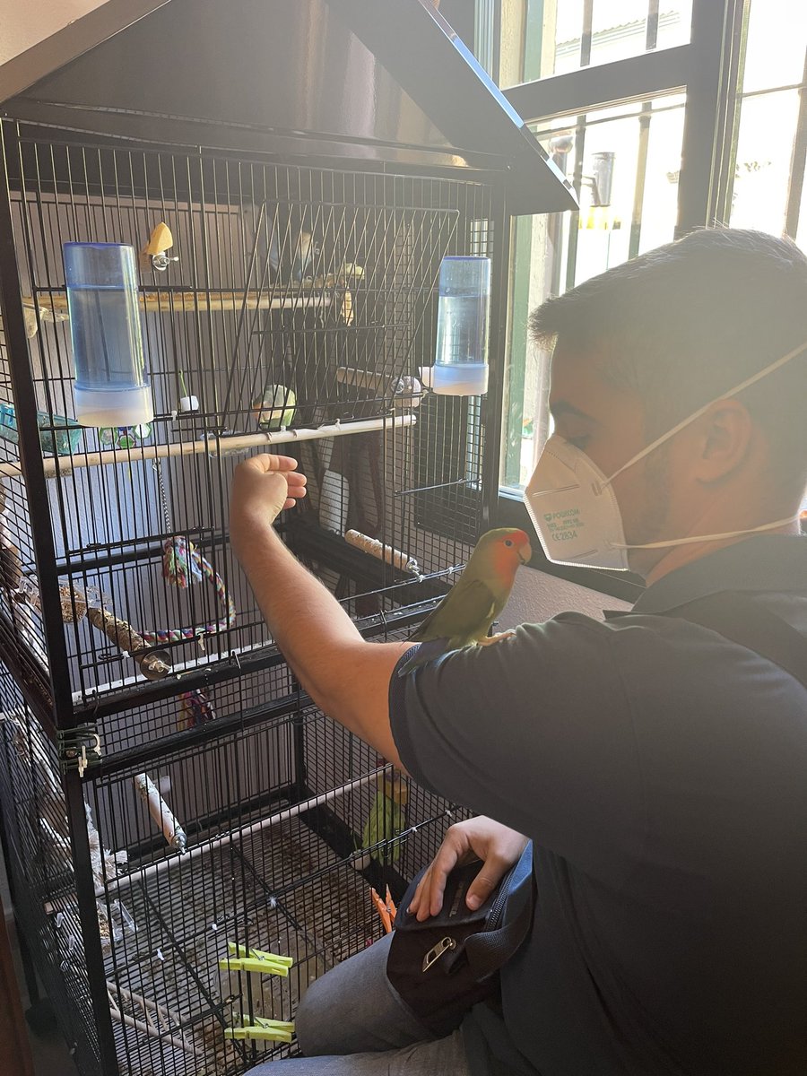 inmacampanoo's tweet photo. Visita en casa de @MA_Campano (mi hermano mayor)
Los pollos están encantados 🦜🦜🦜🦜🦜🦜 https://t.co/4Xotn7RcMs