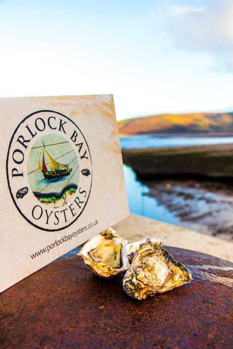 Happy #NationalOysterDay #porlockbayoysters #oystersathome #oysters #foodie #foodlover #onthehalfshell #oysterday #sustainableliving #delicious