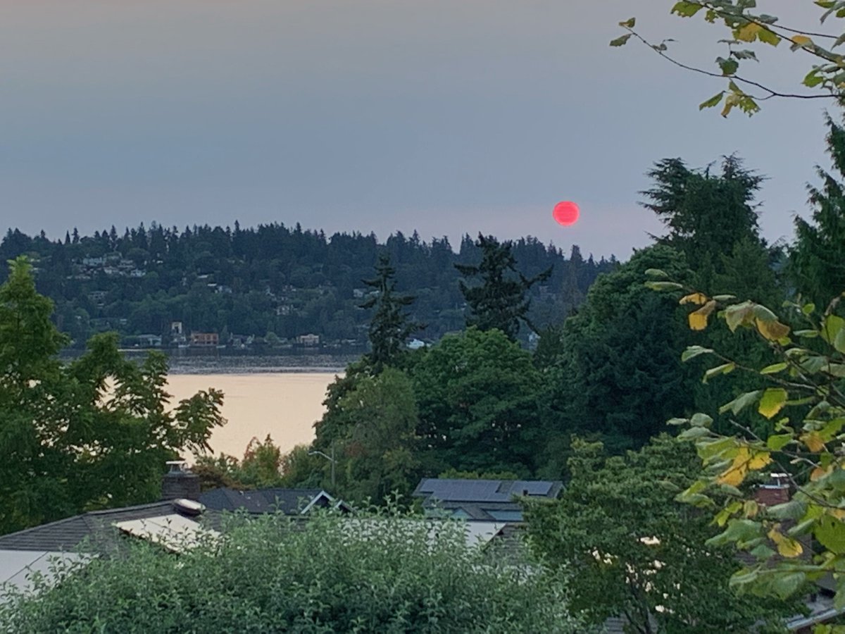 RT @analenafl: Fire sunrise over Lake Washington in Seattle this morning 
Apocalyptic https://t.co/Kr4gd0UzbP