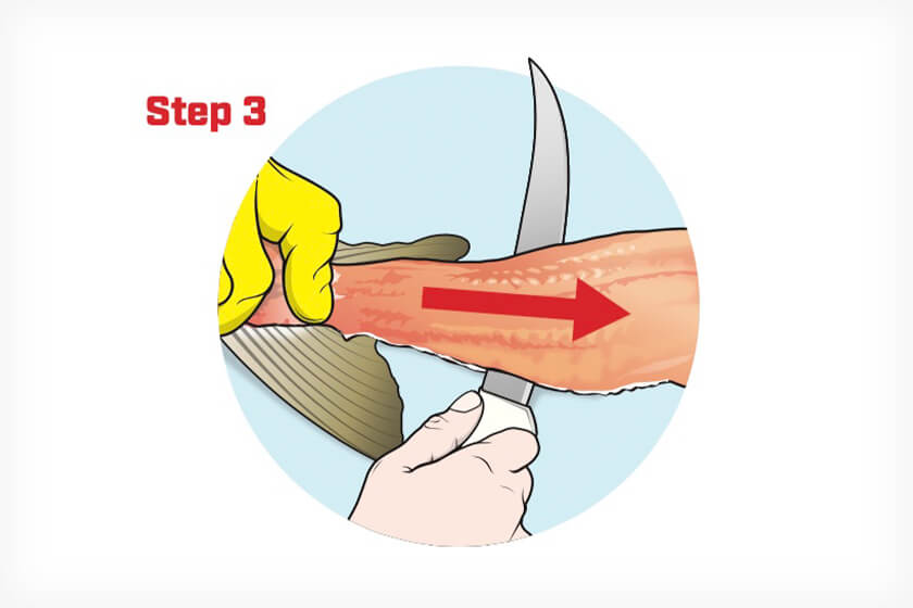 OUTDChannel's tweet photo. They say there's more than one way to skin a cat. We say, there's more than one way to skin a catfish! @GameAndFishMag shares their easy 4-step catfish cleaning process.
https://t.co/X15l9dlFih
#whatgetsyououtdoors #gameandfish #catfish #freshfish #cleaningfish https://t.co/nzbhYmb1dW