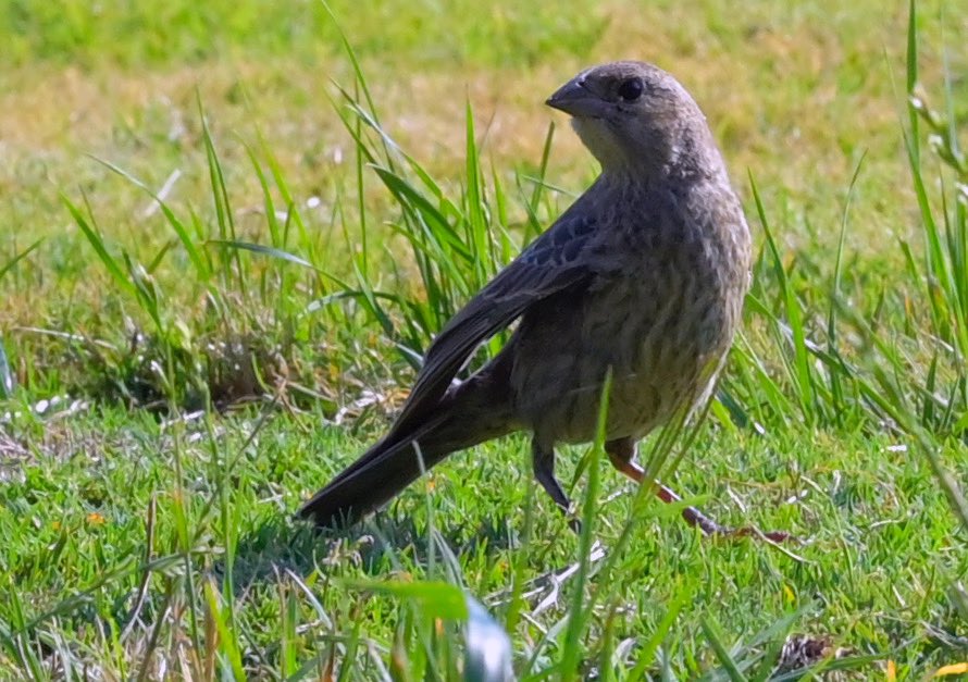 Nicki Jhabvala tweet media