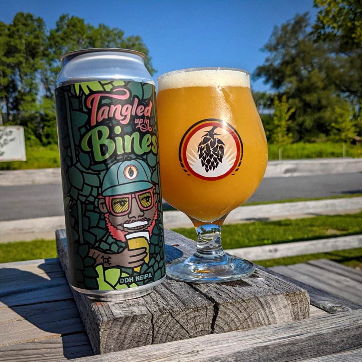 New Pilot NEIPA on tap!  Collaboration with <a href="/TheBineyard/">The Bineyard</a> in Cazenovia featuring Galena, Michigan Copper, and Comet hops. 

Think you can’t brew a tropically explosive NEIPA with locally grown hops? Think again. 

Now exclusively on draft at the brewery. Coming to cans this fall