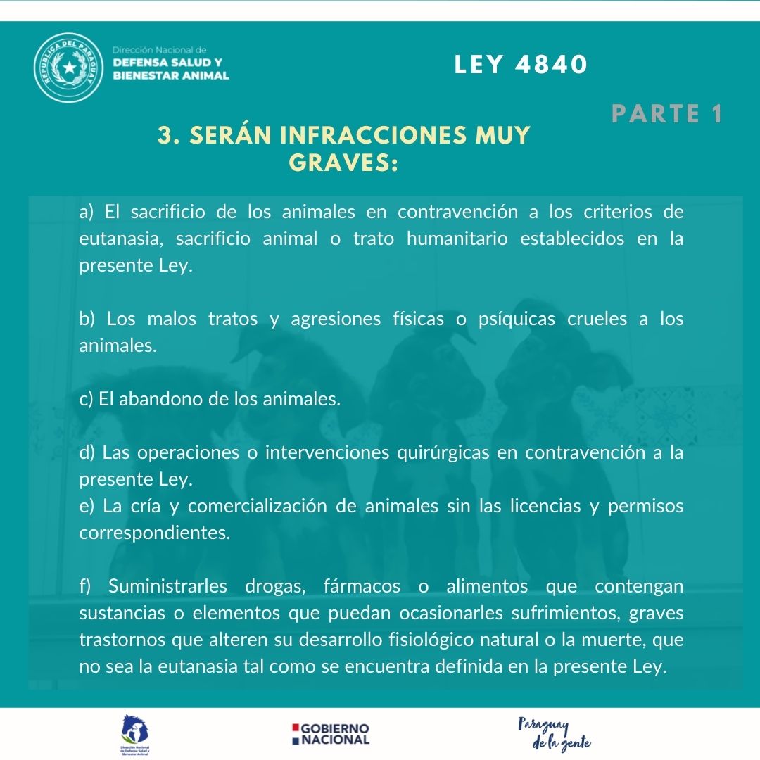 defensanimalpy's tweet photo. Buen día ☀️
Hoy les mostramos la primera parte del Inciso 3 sobre Infracciones muy graves, los cuales  son considerados actos de acción penal pública y en las que interviene el Ministerio Público.

#ConociendolaLey4840 🇵🇾
#TenenciaResponsable 🙌🏼🐾 https://t.co/ECaZralDBE