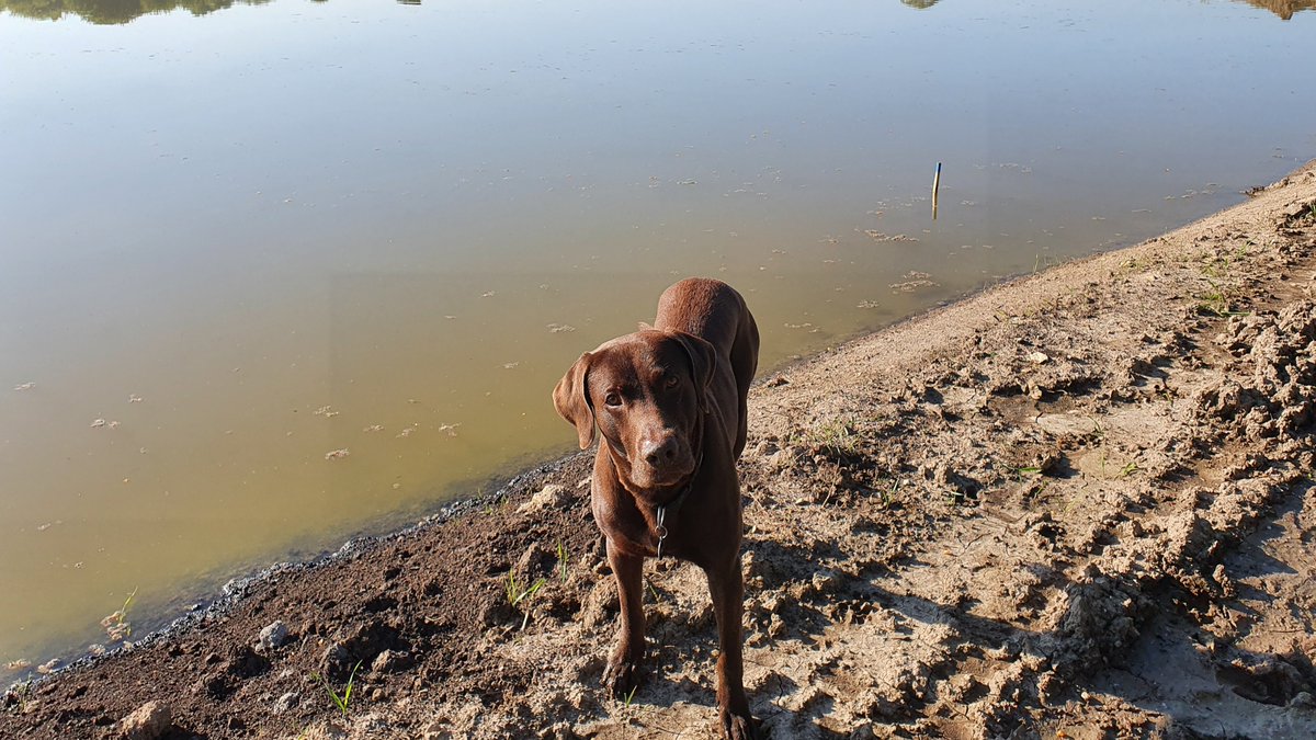 SOL Golf tweet media