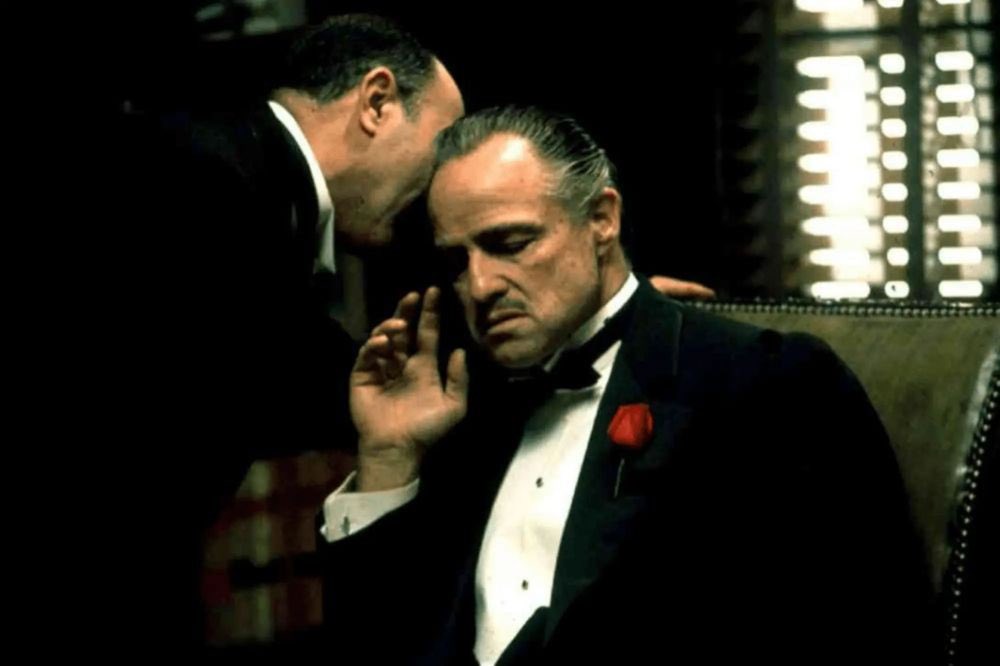 N.z 🎼 tweet media