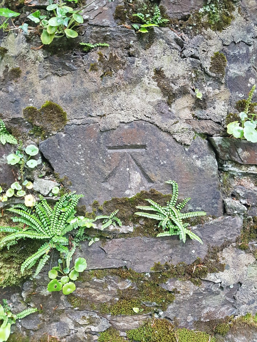 BenchmarksCork's tweet photo. Join us for a walking tour of Cork City's benchmarks as part of @HeritageWeek! Learn about the history of these often overlooked features in the built heritage landscape, and how to locate and map your own finds. Places are limited so booking is essential: https://t.co/HbjUU7VquM https://t.co/QN16rA4O37