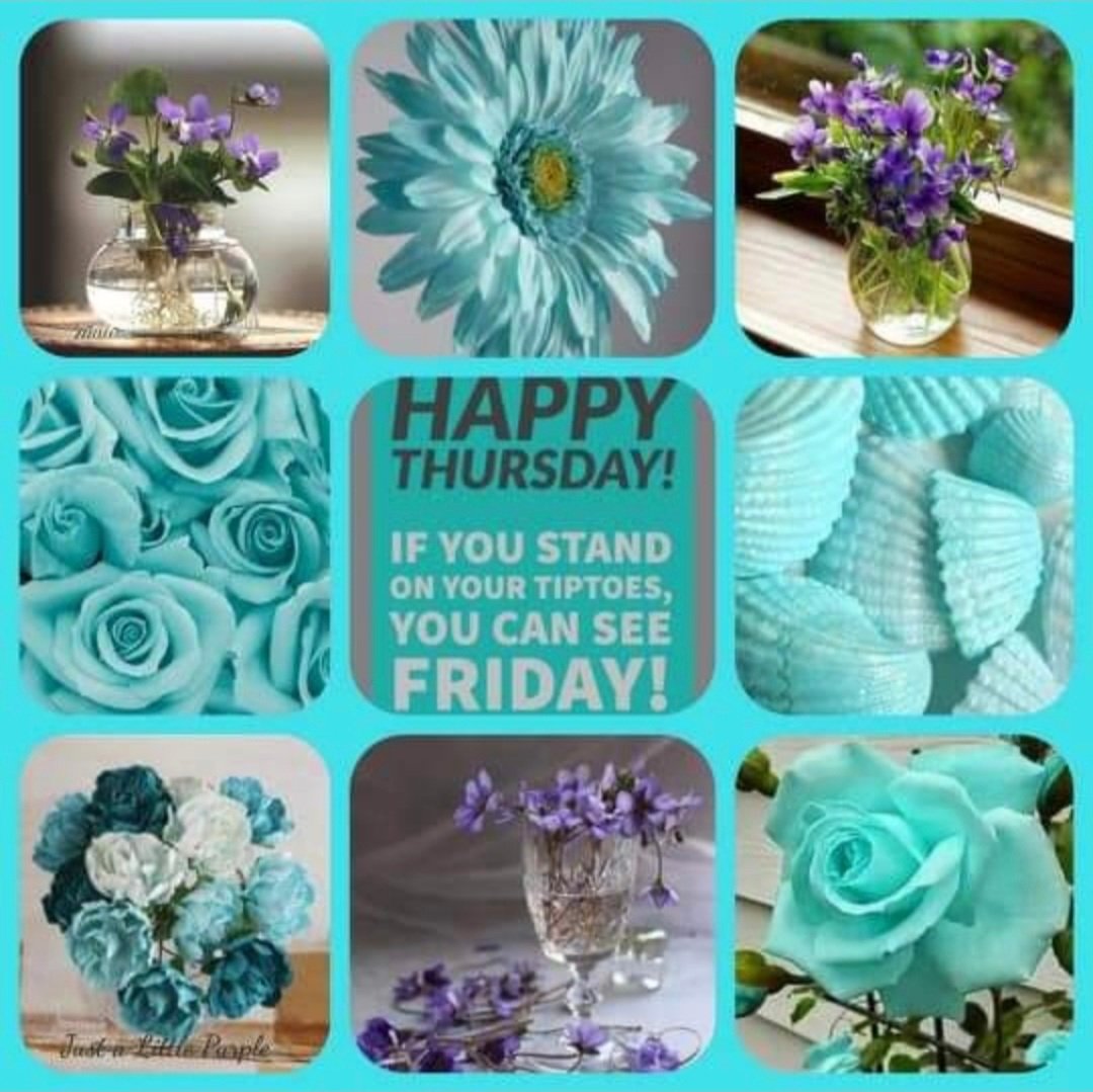 CSprite3's tweet image. Good morning, friends🌺Thursday is here and Friday is just peeking around the corner. Set a goal for the day. Do them one by one and never let it overwhelm you. With everything going on, life has a way of running us over. Prioritized and organized. Have a beautiful day😊🌸🦋☀️❤