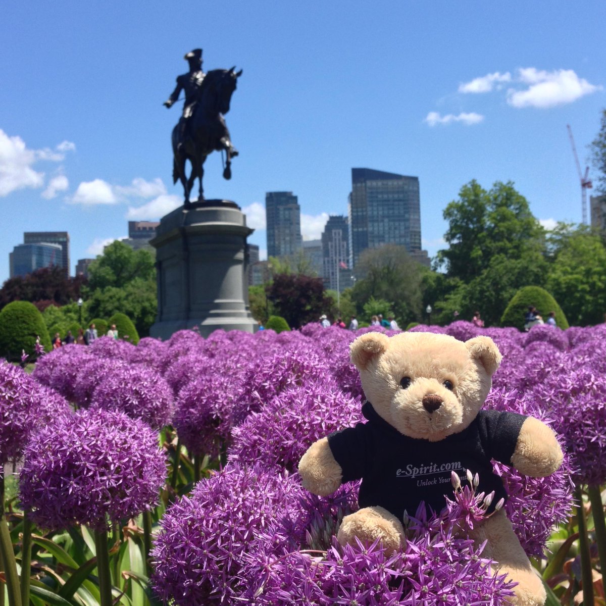 Schon gewusst? Neben den Boston Bruins und dem prominenten Teddybären aus dem Film Ted, hat die Stadt vor einigen Jahren einen dritten Bären hinzubekommen - unseren TravelTeddy, den unser Kollege Andreas im bunten Boston Common relaxen ließ.  #throwbackthursday #insightespirit