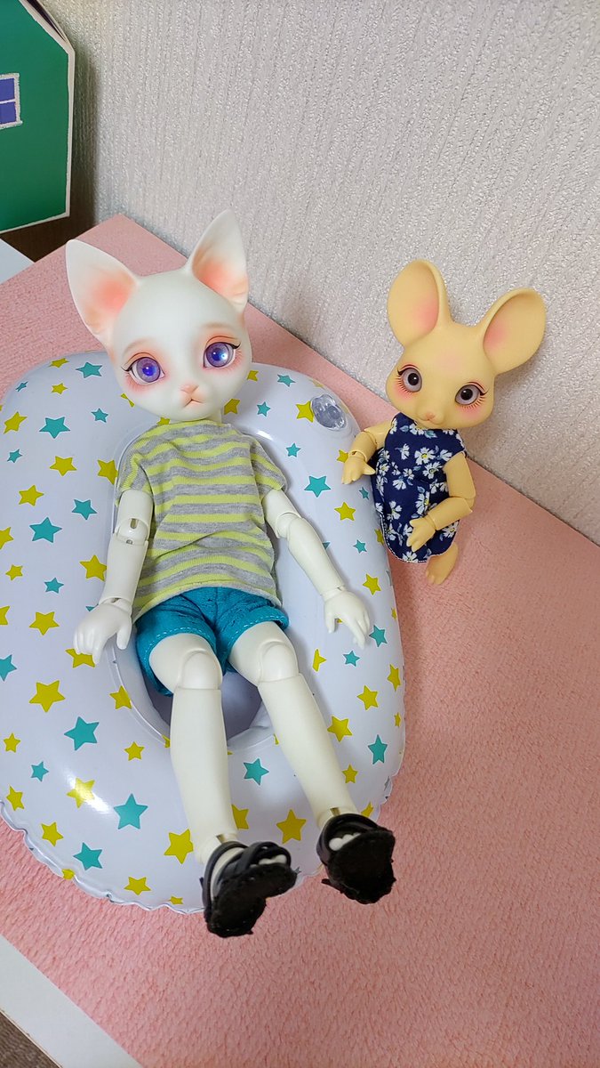 momenmonuun's tweet photo. セリアのボート買いました。　みっちみち https://t.co/1OkKCxrGHC