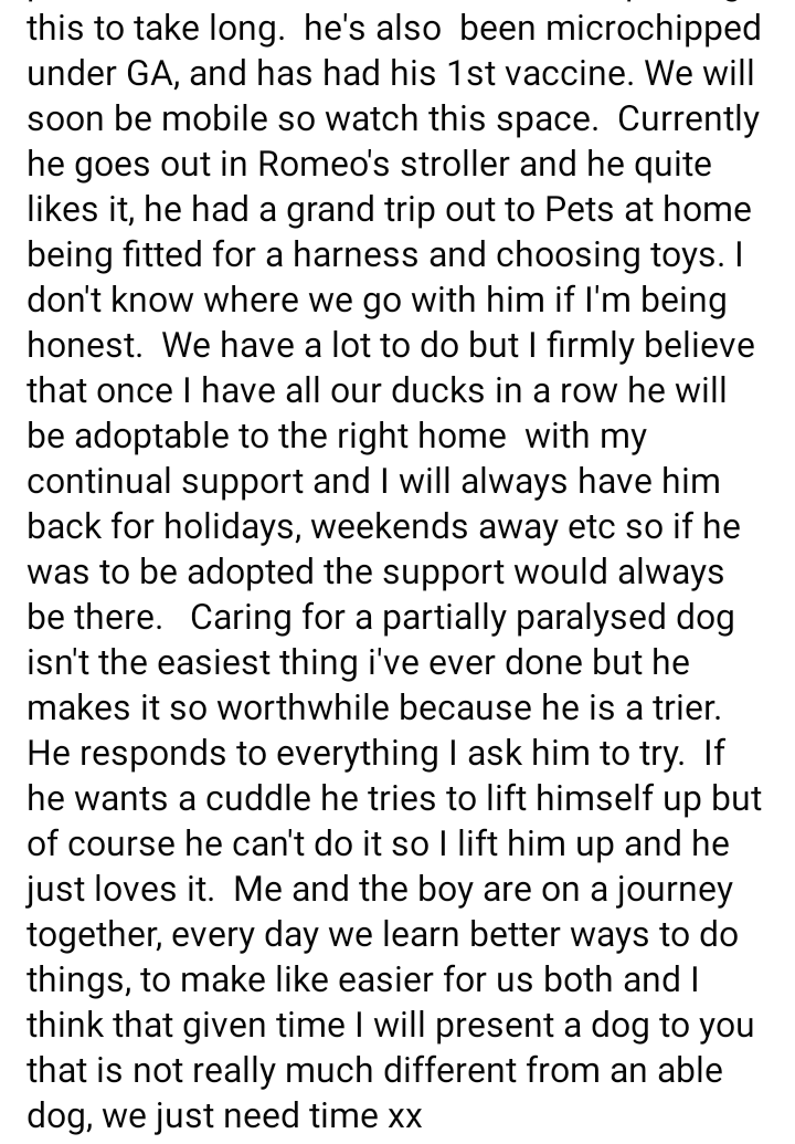 star_rescueuk's tweet photo. Alfie Update
Not available for adoption until further notice 💙
#dogswithwheels #disableddogs #shihtzuactionrescue #RescueDogs https://t.co/kRMMTBEPOs