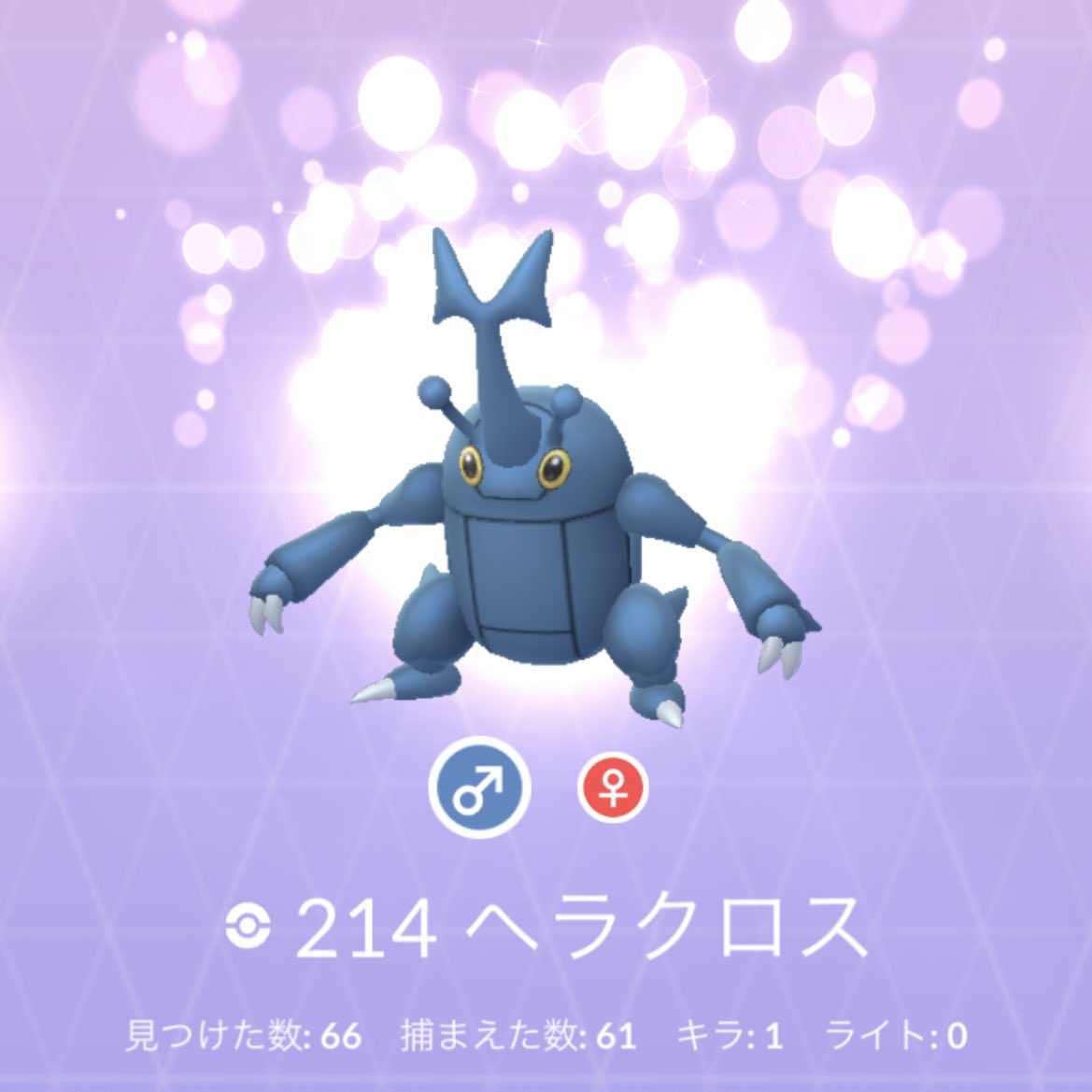 ポケモンgo メガピジョットの色違い 入手方法と実装状況 攻略大百科