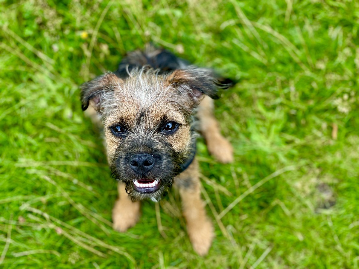 Dr Jess Wade liked it here once tweet media