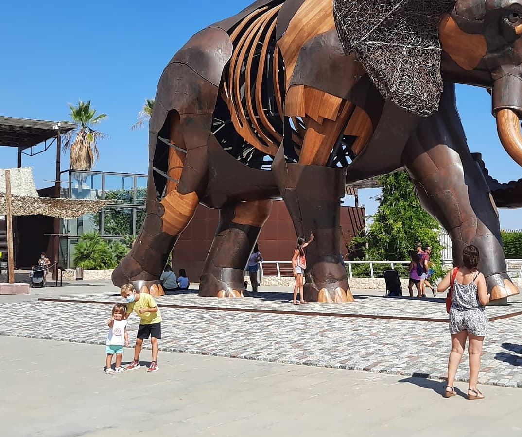 alexdelmas10's tweet photo. No acostumo a utilitzar twitter per temes personals però @Bioparc és SÚPER recomenable!

#ExperienciasBioparc https://t.co/6U3Tz06ZZZ