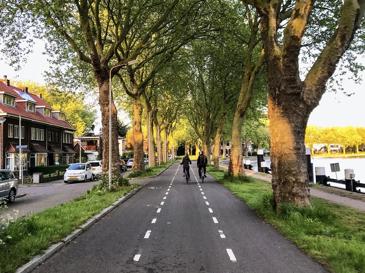 Cycling_Embassy's tweet photo. “Over half the bike lanes the Dutch have today were built in the last two decades. Even people who live here have no idea how recent this development was.

They don’t think of bike lanes anymore than you and I think of sewage pipes and electricity grids."

https://t.co/5lry7CrjSf https://t.co/l34WwQiK28