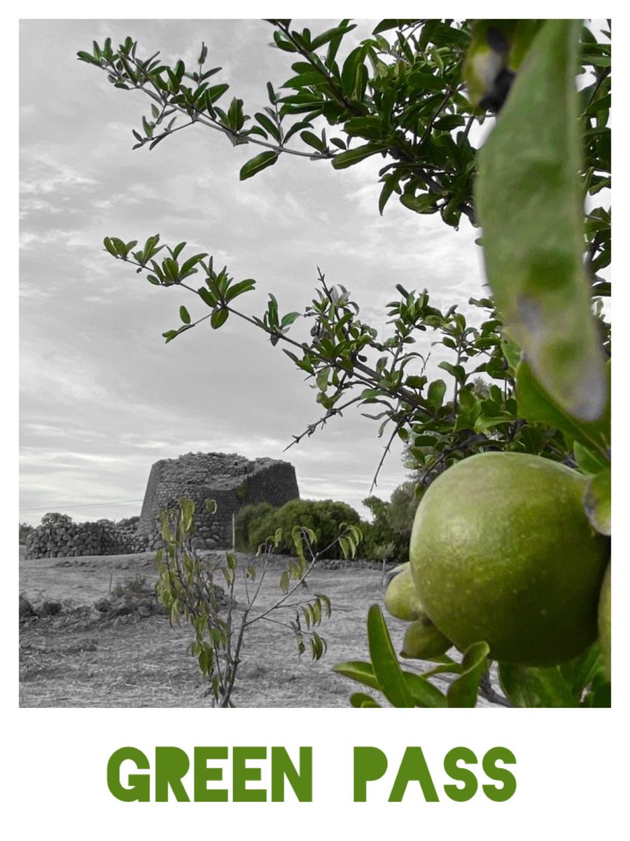 ⚠️ Come da disposizioni del 
#DL_23_Luglio_2021, n. 105
da domani 
#6agosto2021 
per accedere all’area archeologica del 
#Nuraghe_Losa bisognerà esibire la 
🟢 Certificazione Verde COVID-19, #Green_Pass, 
corredata da un documento di identità valido.

👉 dgc.gov.it/web/