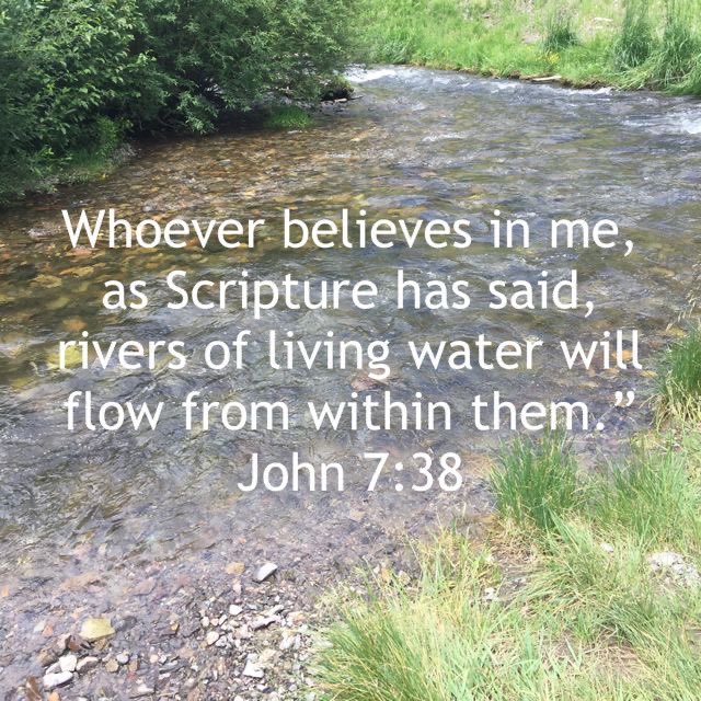 🕊Kristia🕊 tweet media