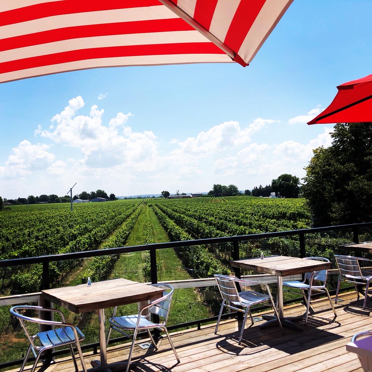 GeraldCMorin's tweet photo. Beautiful (and tasty) country we have ⁦@TownofNOTL⁩ ! 😎
#lifeisgood #wineandbeercountry https://t.co/OlSRP4ucs8