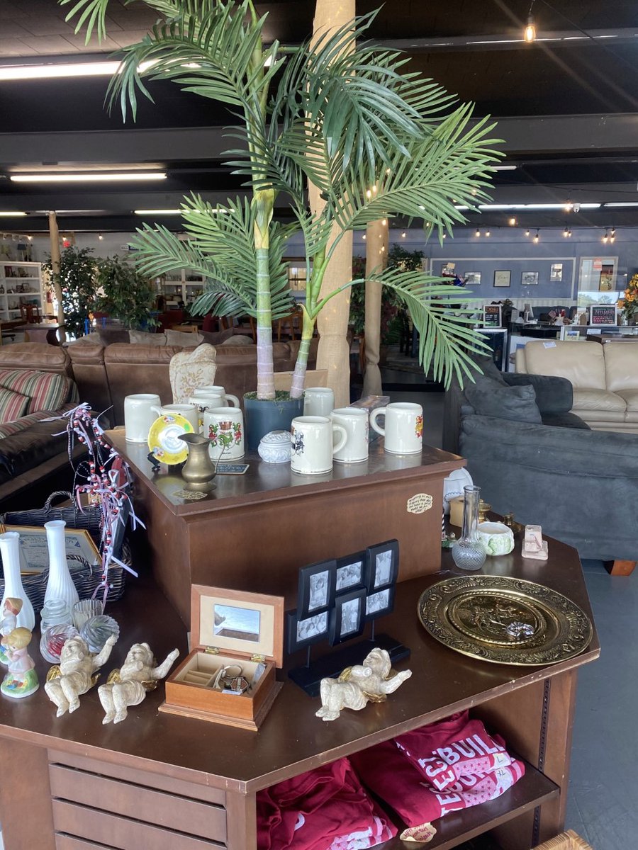 Come &amp; See what's NEW in the ReStore!