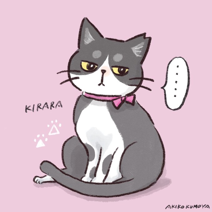 ハチワレ猫のtwitterイラスト検索結果 ハチワレ猫のtwitterイラスト検索結果