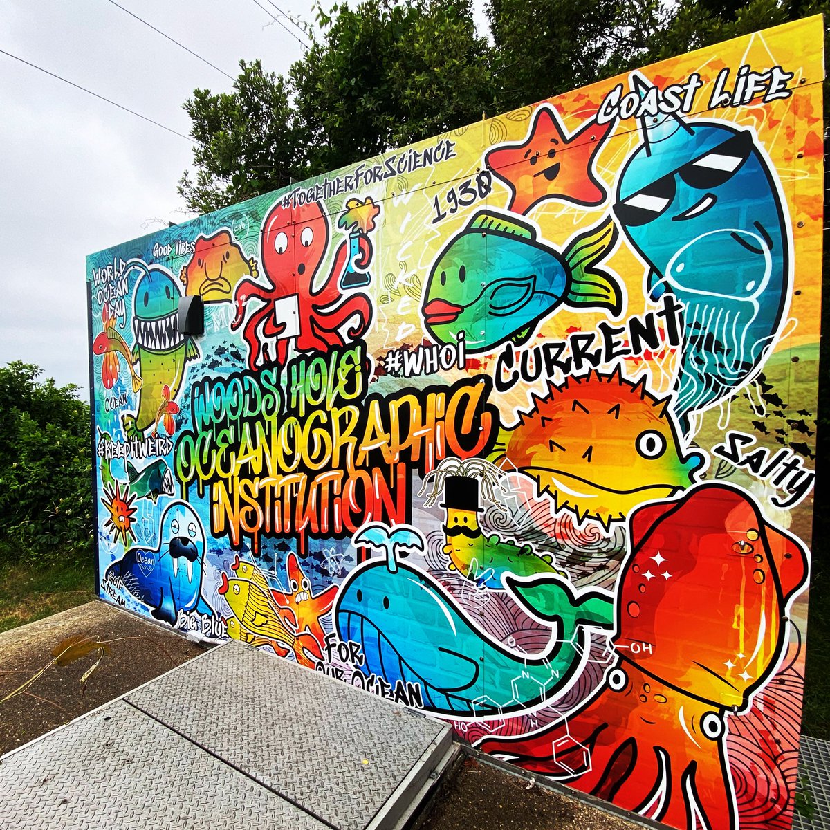 JulesDeep's tweet photo. Graffiti just off the Shining Sea Bike path in Woods Hole @WHOI — Artist Unknown (to me)
#keepitweird #togetherforscience #salty #coastlife #forourocean #goodvibes #bigblue https://t.co/1BJUaUreRS