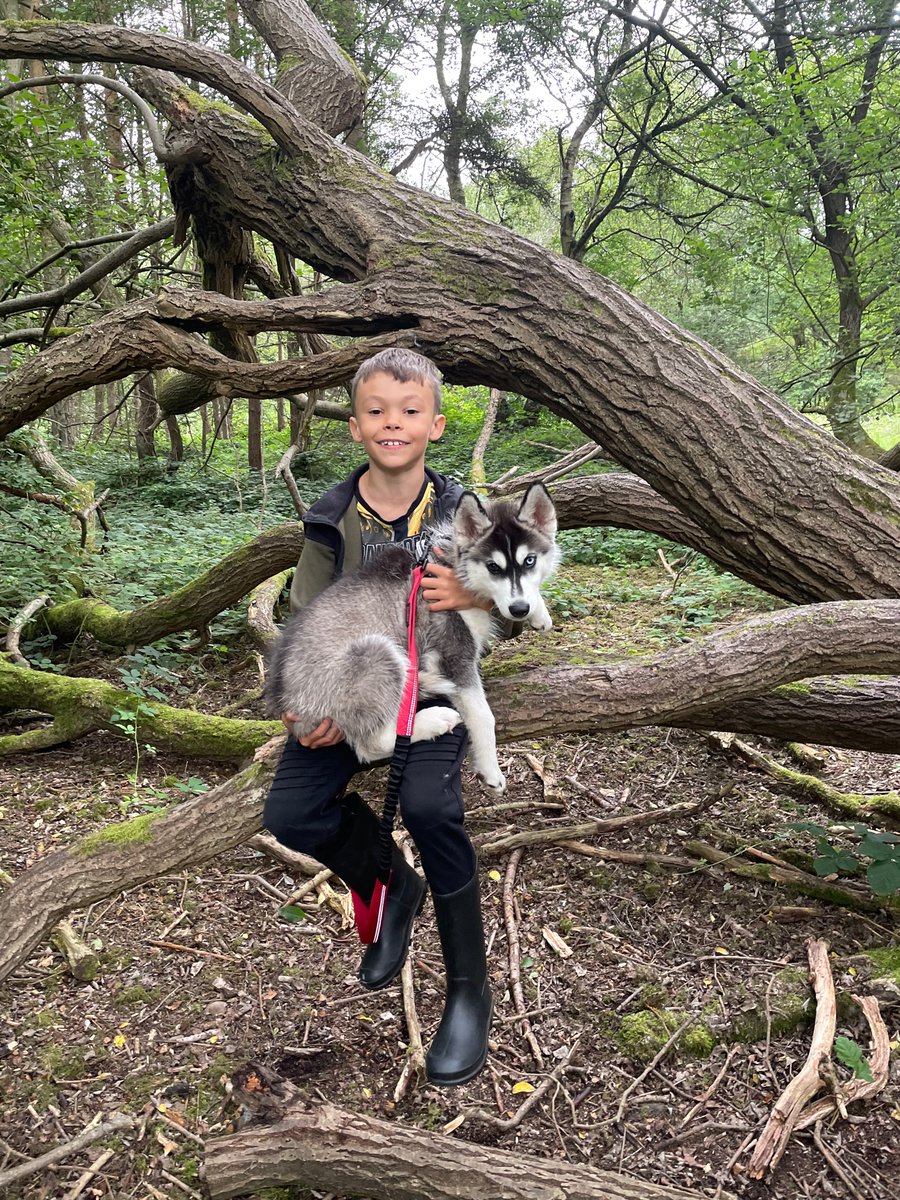 MissTitley_Science tweet media