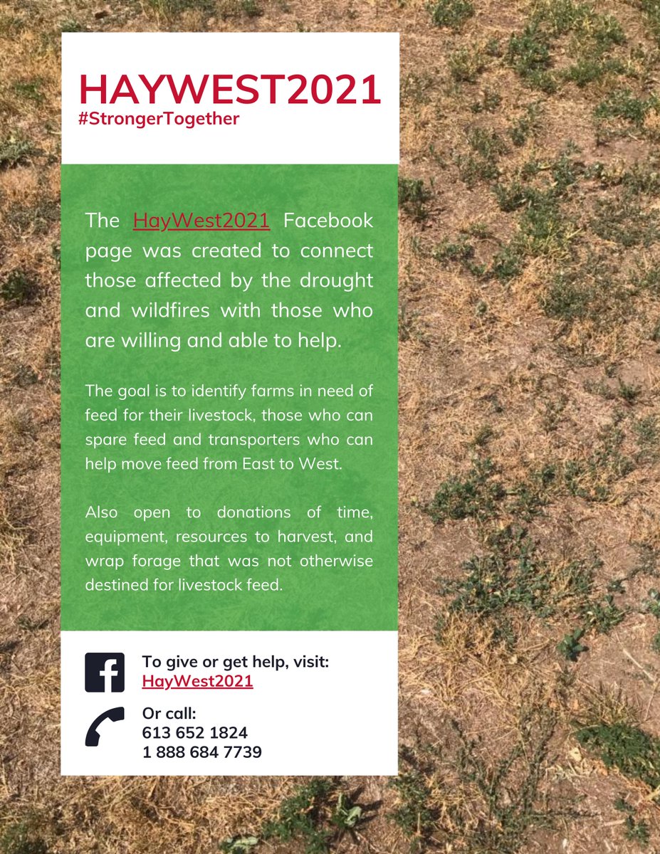 Cdn Sheep Federation tweet media