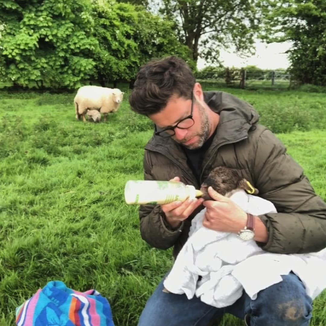 It’s bed-LAMB for <a href="/drjgreenwood/">Dr James Greenwood</a> in this Sunday’s episode as lambing season begins, but how many sheep babies will his lovely ladies have?  Only time WOOL tell! 🐑❤🐑💙
#thepetsfactor