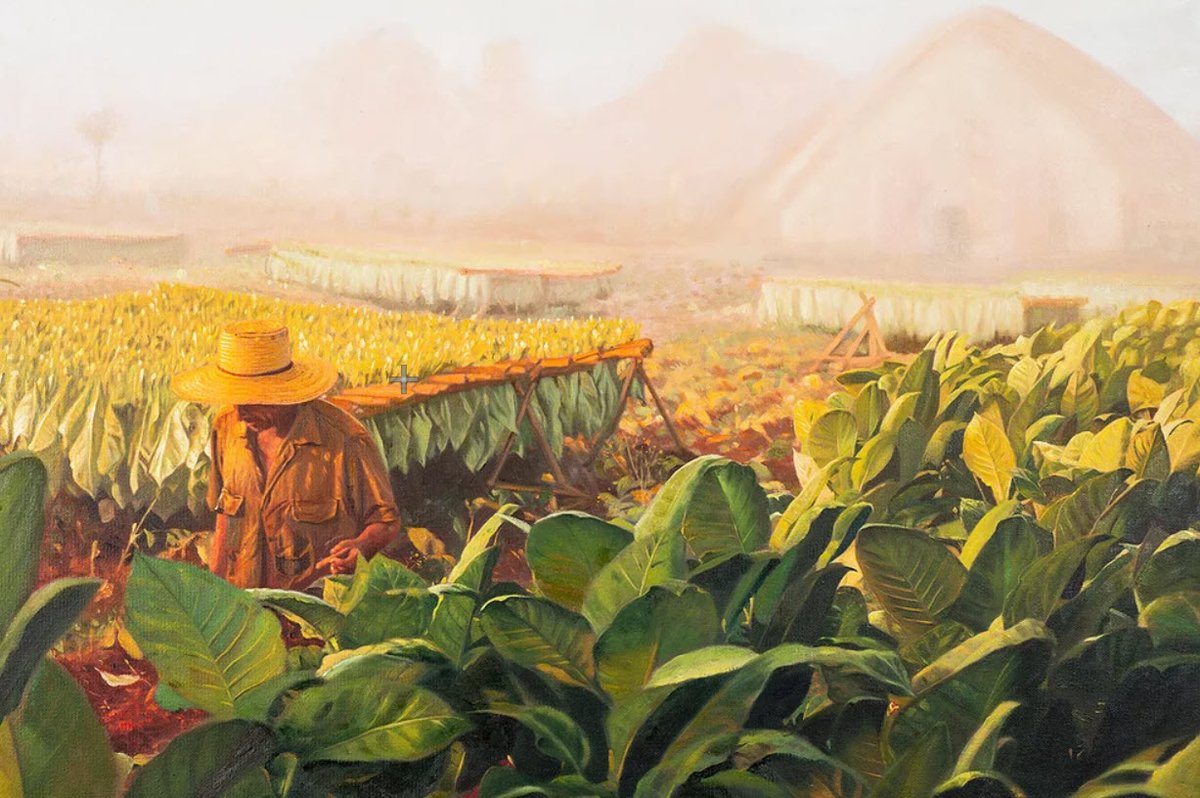 ga_carver's tweet photo. Original oil on canvas - local Cuban man harvesting his tobacco leaves   This painting measures 36x24" and has been stretched and is ready for framing.   https://t.co/vwSOdITGu0 #cigars #cigarlounge #Cubancigar #cigarsign #Cuba #mancave #cigarpainting #Cubancigar https://t.co/zm3TtVNGc2