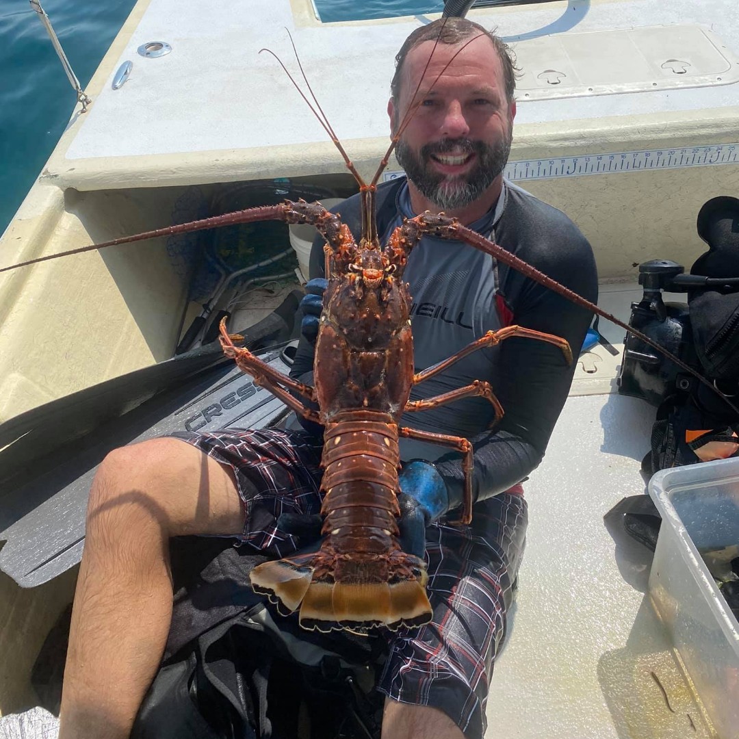 Commercial and recreational spiny lobster season opens tomorrow, August 6th. Here's more information on the regulations: gulfcouncil.org/fishing-regula…