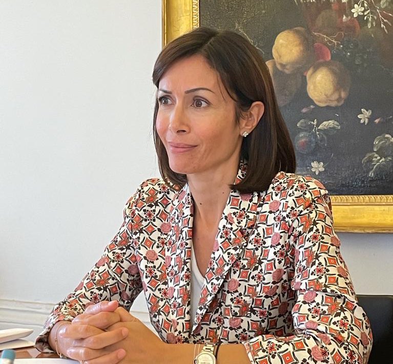 Mara Carfagna tweet media