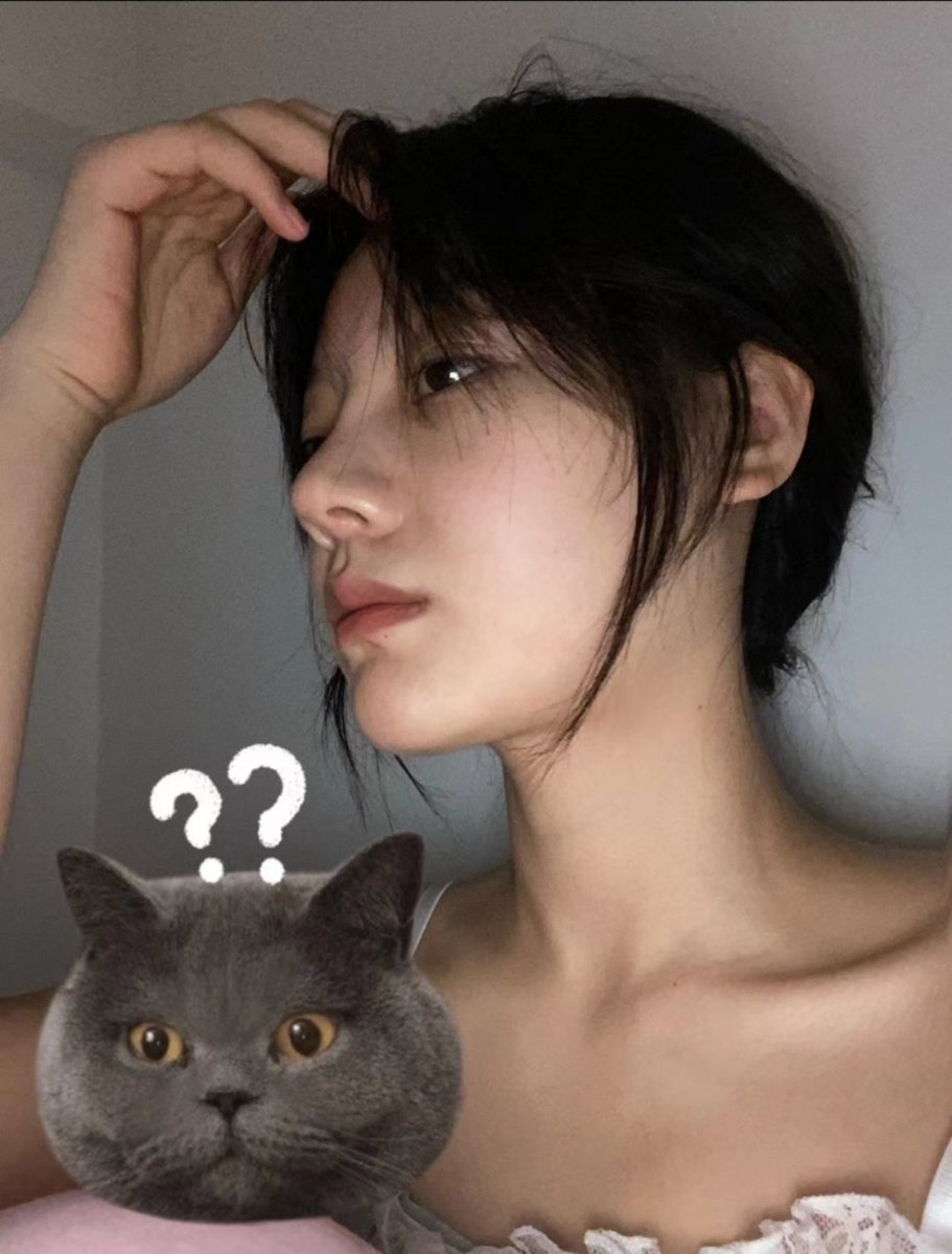 帕特里克 tweet media