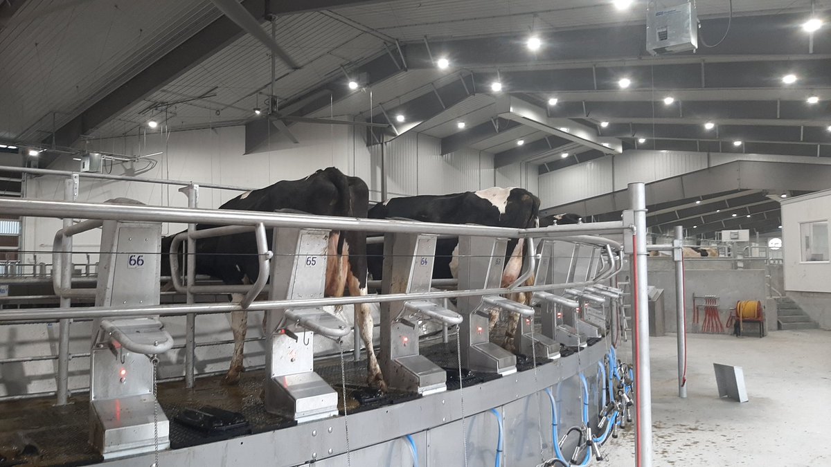 Pretrip on the new 80 stall rotary. Milking starts monday