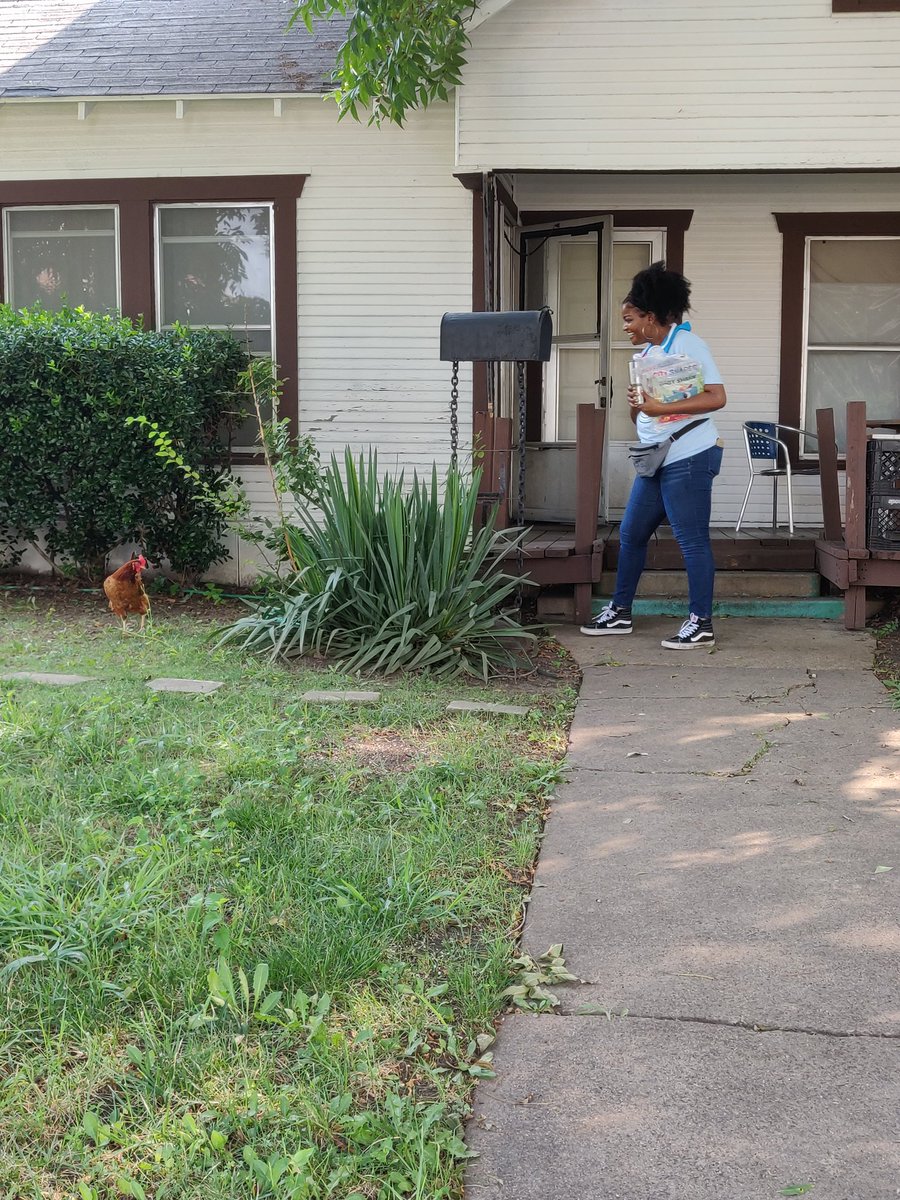 Channy_Bug's tweet photo. When you're handing Dallas ISD PreK enrollment flyers, and @NiecyLoweEd meets a new friend!
@DrElenaSHill @ICanReadDallas https://t.co/YfrvWHlyMz