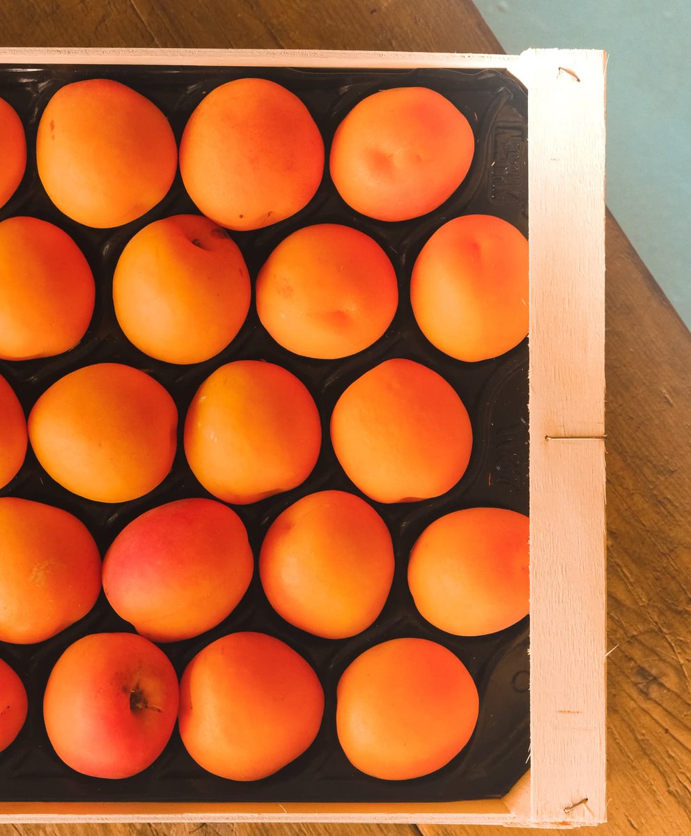 Coldbathbrewing tweet media