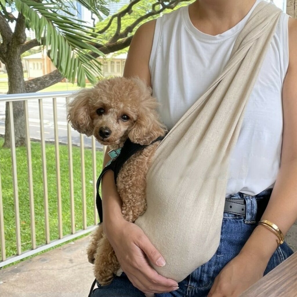 walkingpalmpet's tweet photo. Look at them!😎
.
.
#walkingpalm #dogcarrier #petcarrier #dog #dogbag #dogs #dogsofinstagram #dogstagram #catcarrier #cat #petshop #instadog #petsofinstagram #petshoponline #dogaccessories #dogoftheday #dogbed #dogcarriers #petcare #doglover #pets #do… https://t.co/e9A8T5No3e https://t.co/7dGZGAvjuF