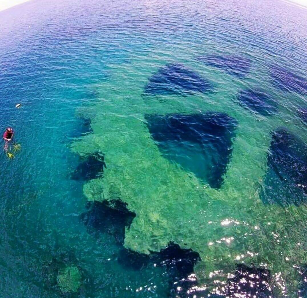 RotaryD2201's tweet photo. Esta es la rueda rotaria más grande del mundo. Está en el arrecife de coral de Filipinas y sirve para regenerar la zona. La rueda significa movimiento, renovación y avance. Rotary en estado puro.
#ruedasrotarias
#Rotary
#ServirParaCambiarVidas
#distrito2201 https://t.co/YauNzZd52M